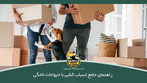 راهنمای جامع اسباب کشی با حیوانات خانگی
